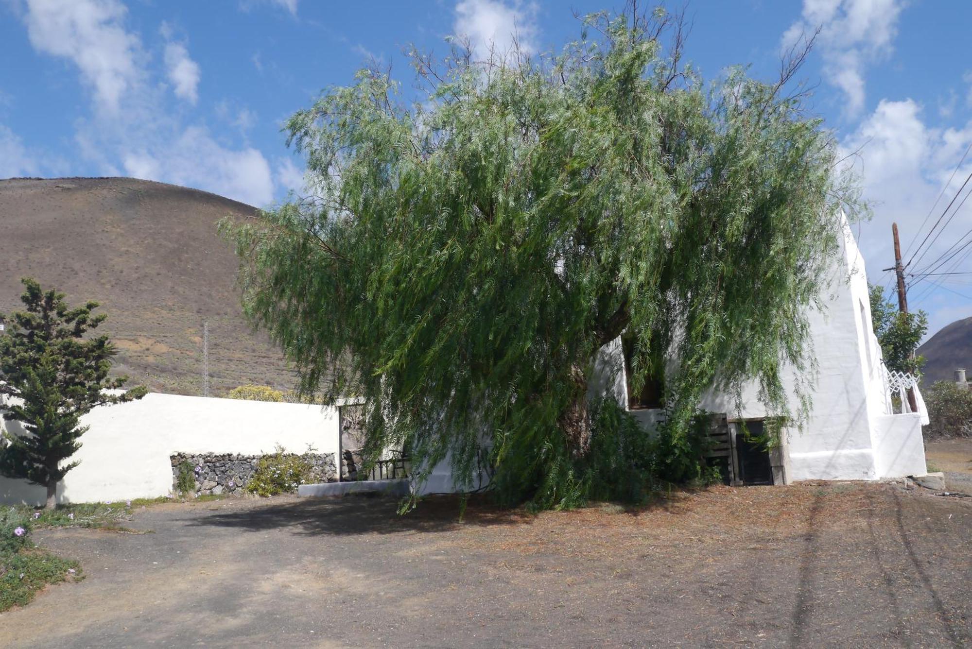 Casa Olga Βίλα Máguez Εξωτερικό φωτογραφία