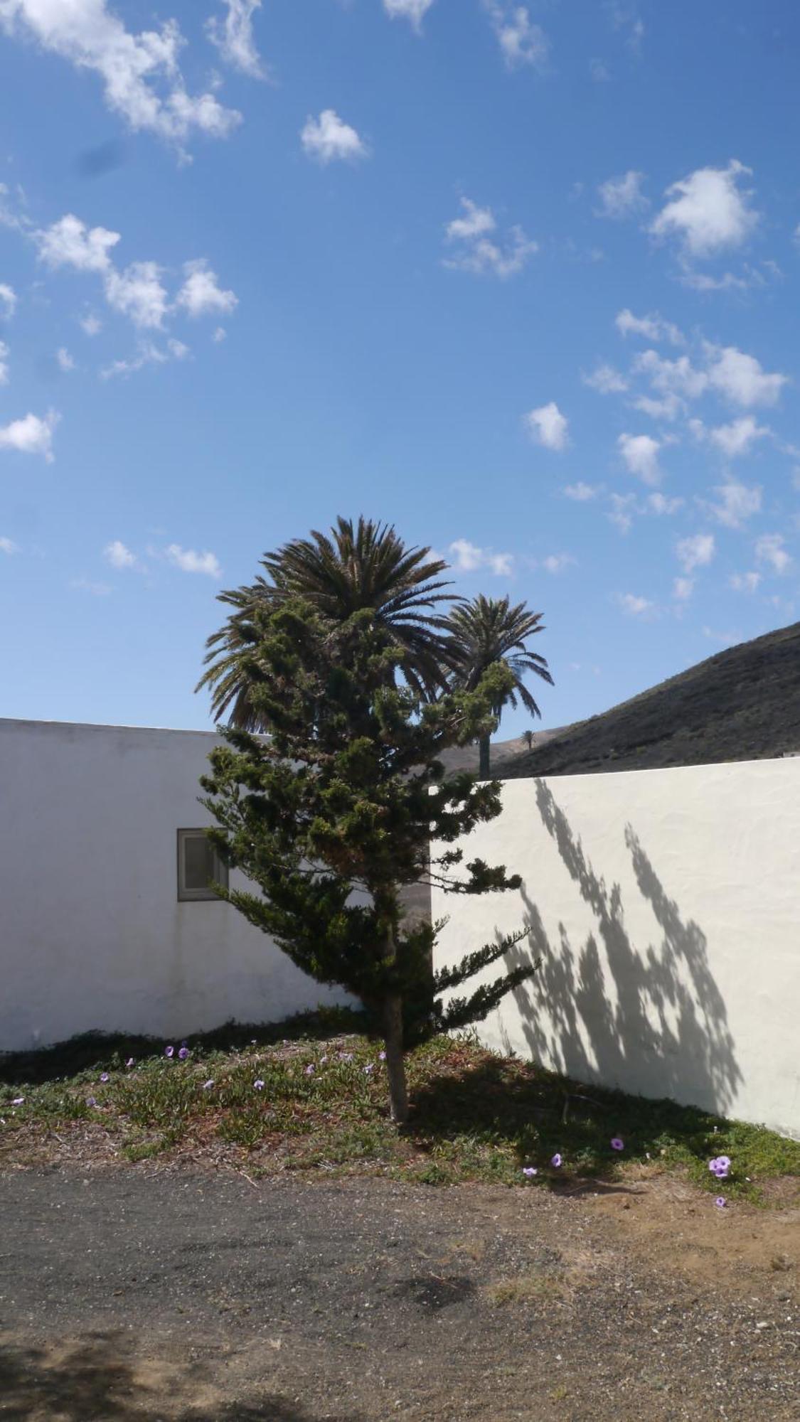 Casa Olga Βίλα Máguez Εξωτερικό φωτογραφία
